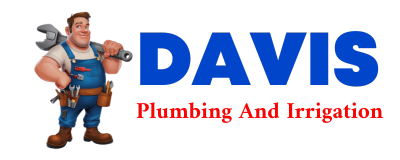 Trusted plumber in DICKENS